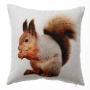 Coussin Animaux